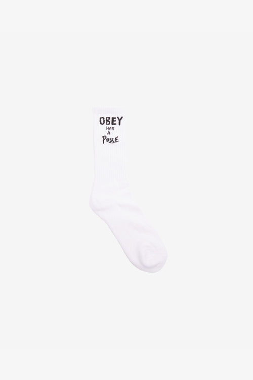 Has A Posse Socks Bianco Uomo