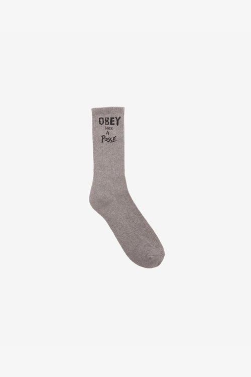 Has A Posse Socks Grigio Uomo