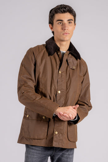 Ashby Wax Jacket 100% Cotone marrone - 4