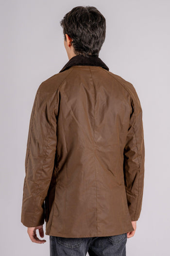 Ashby Wax Jacket 100% Cotone marrone - 6