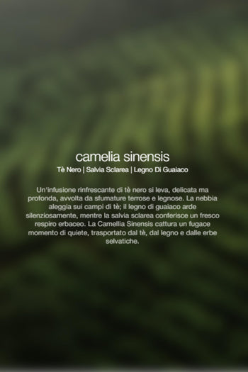 Spray Ambienti Camellia Sinensis 1lt Unisex - 2