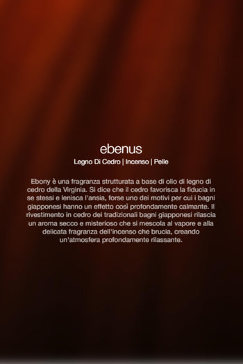 Spray Ambienti Ebenus 300ml Unisex - 2