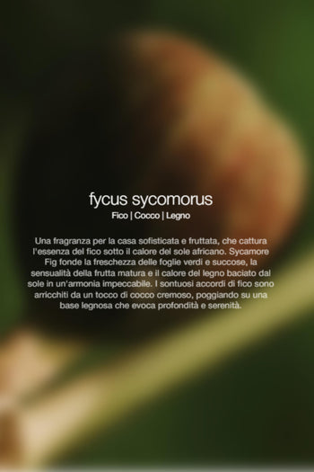 Spray Ambienti Fycus Sycomorus 300ml Unisex - 2