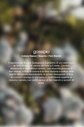 Spray Ambienti Gossypium 300ml Unisex - 2