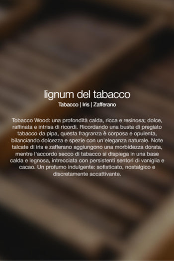 Spray Ambienti Tobacco Lignum 300ml Unisex - 2