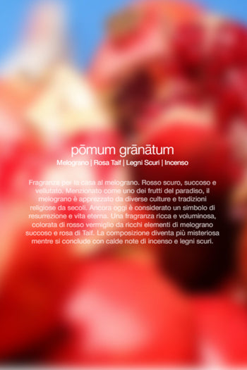 Spray Ambienti Pomum Granatum 300ml Unisex - 2