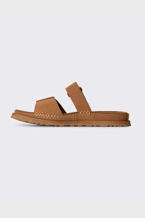 Slide W Goldengaze Chestnut