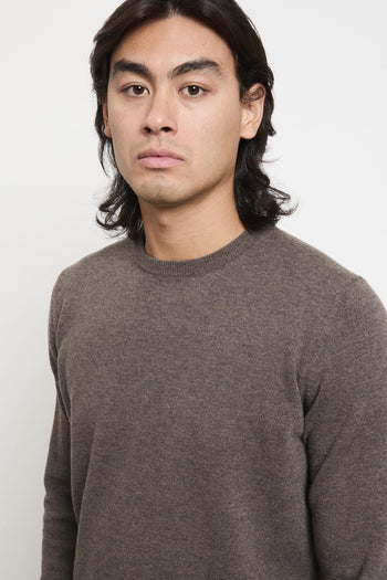 2206 Maglia tortora - 3