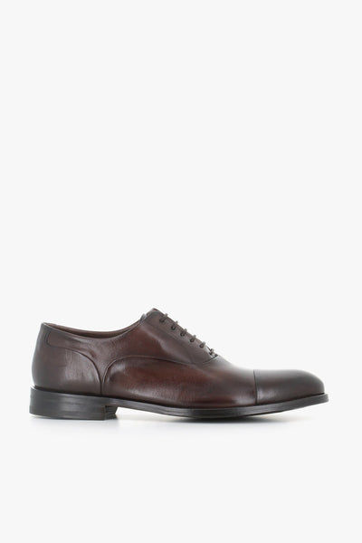 Oxford 1167-767 Marrone Uomo