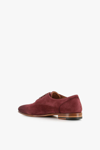 Derby Db38 Viola Donna - 4