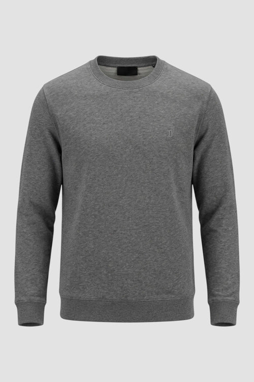 Felpa girocollo regular in cotone