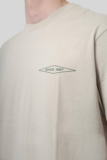 T-shirt Diamond Graphic Tortora Uomo - 2