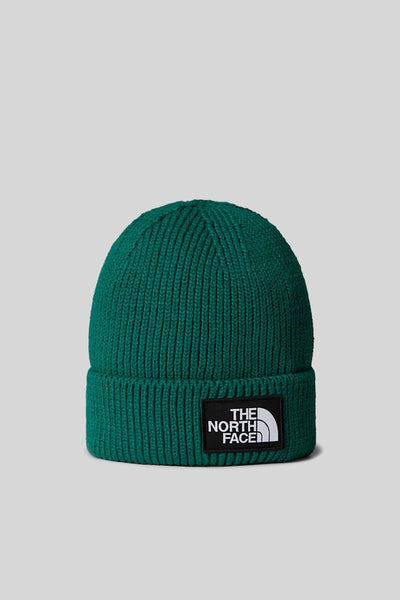 Tnf Logo Box Cuffed Beanie Verde Unisex