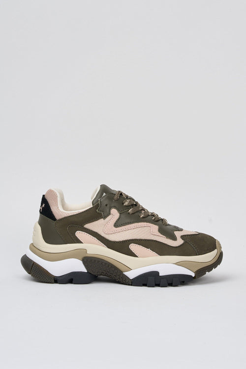 Sneaker Military/eggnug/cipria Donna