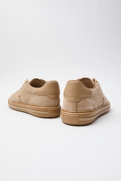 Sneaker Biscotto Uomo