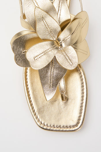 Infradito Golden Donna - 6