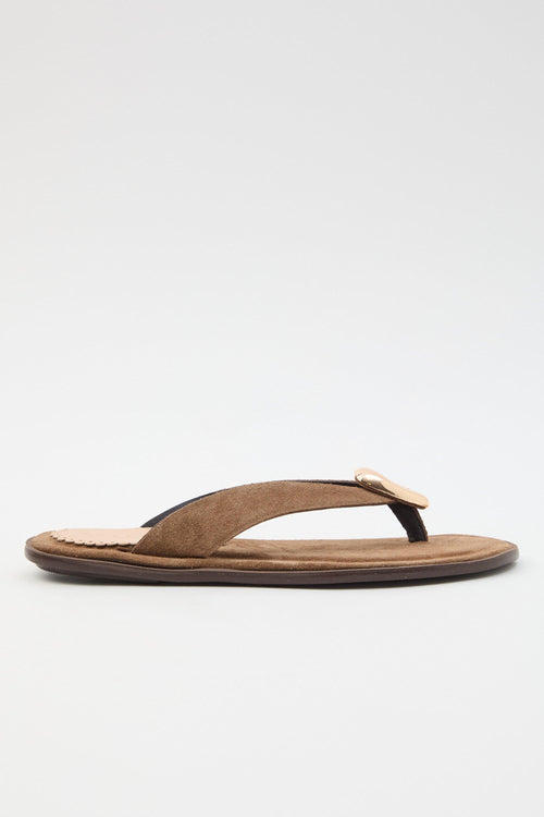 Infradito Taupe Donna