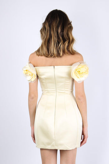 Abito Tulle Manica Lemonade - 4