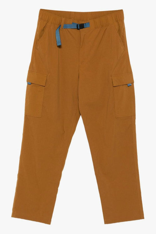 Uomo Pantalone Marrone Cargo