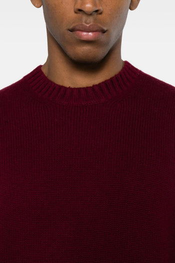 Dellaciana Maglia Viola Uomo - 3