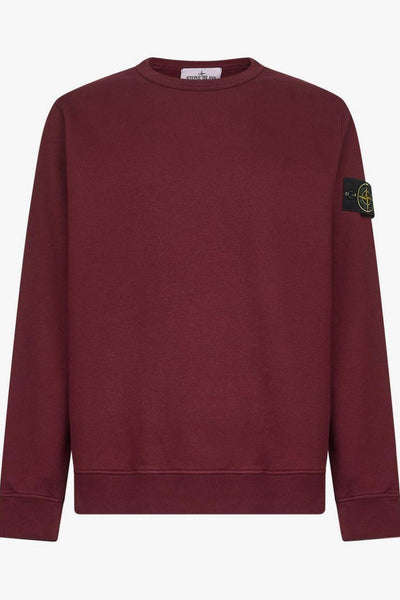 Felpa Viola Uomo Maniche Lunghe