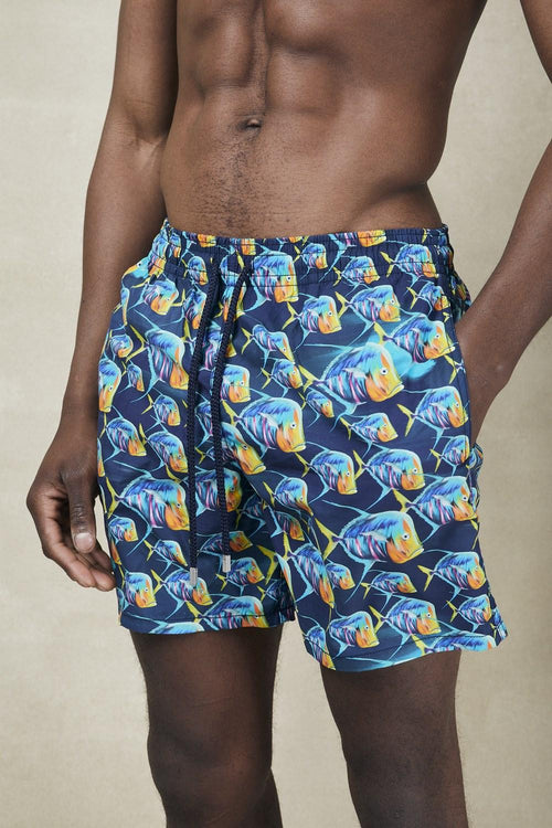 Boxer mare Piranhas